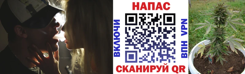 Конопля индика  как найти закладки  Хабаровск 